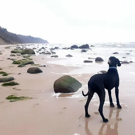 Σπίτι διακοπών Boddenbucht Comfortable *