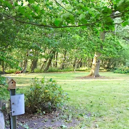 Σπίτι διακοπών Boddenbucht Comfortable Wiek auf Rügen